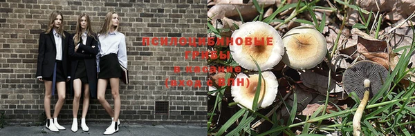 mdma Пролетарск