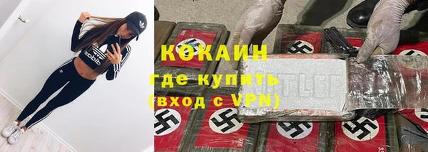 ГАЛЛЮЦИНОГЕННЫЕ ГРИБЫ Арсеньев