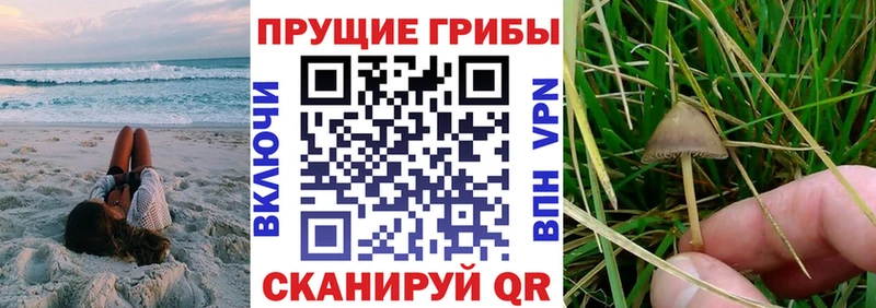 Галлюциногенные грибы GOLDEN TEACHER  Белинский 